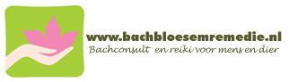 bach-banner Mirjam de Groot,BFRP ,bachbloesem consult voor mens en dier